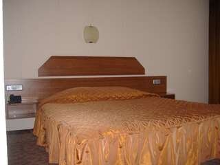 Отель Korona Hotel Благоевград Двухместный номер Делюкс с 1 кроватью-10